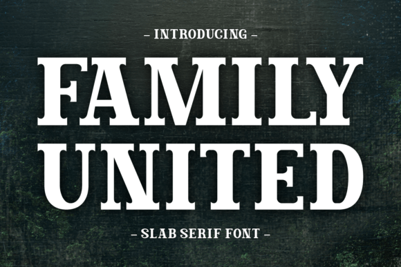Family United: A Bold Slab Serif Font for Designers